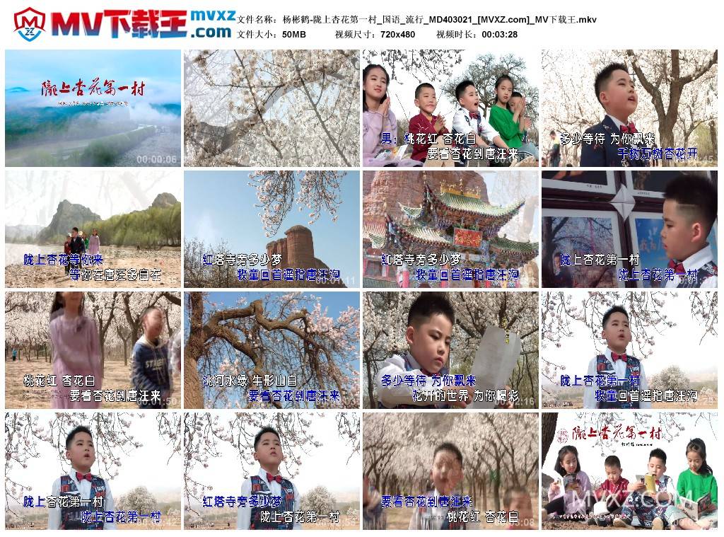 杨彬鹤-陇上杏花第一村_国语_流行_MD403021